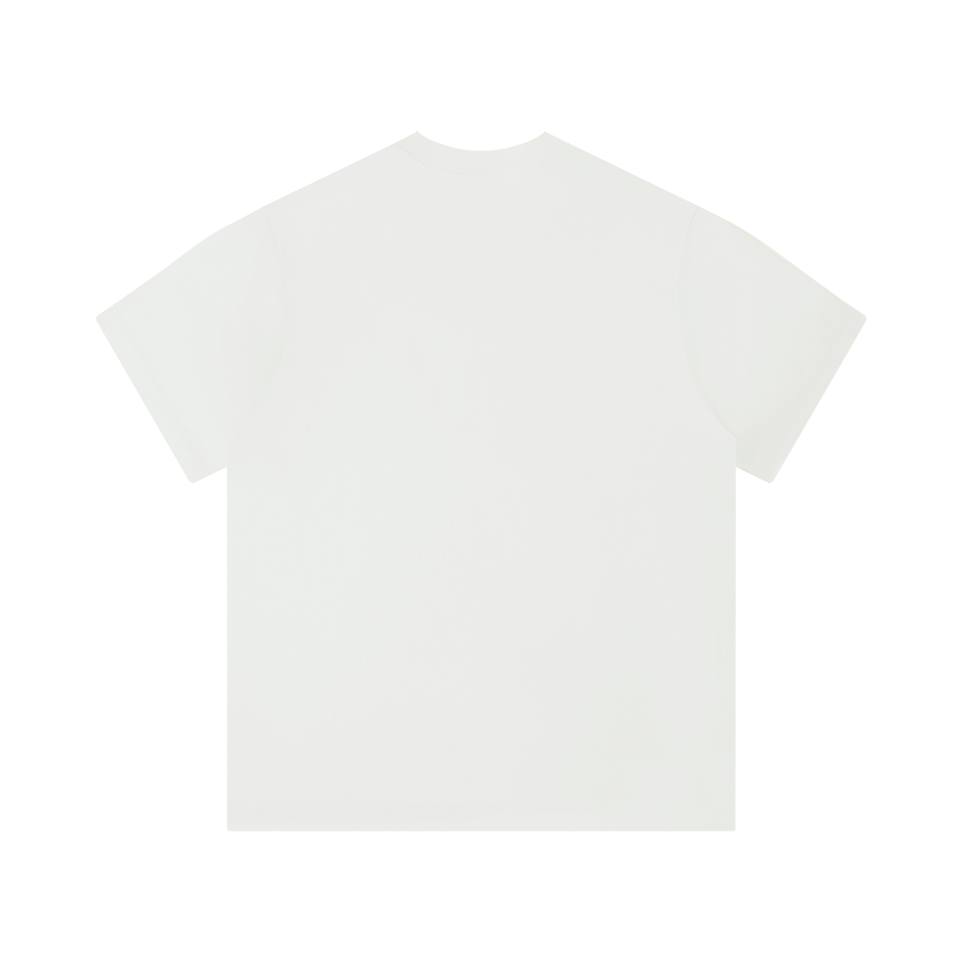 Unisex Regular Fit T-Shirt