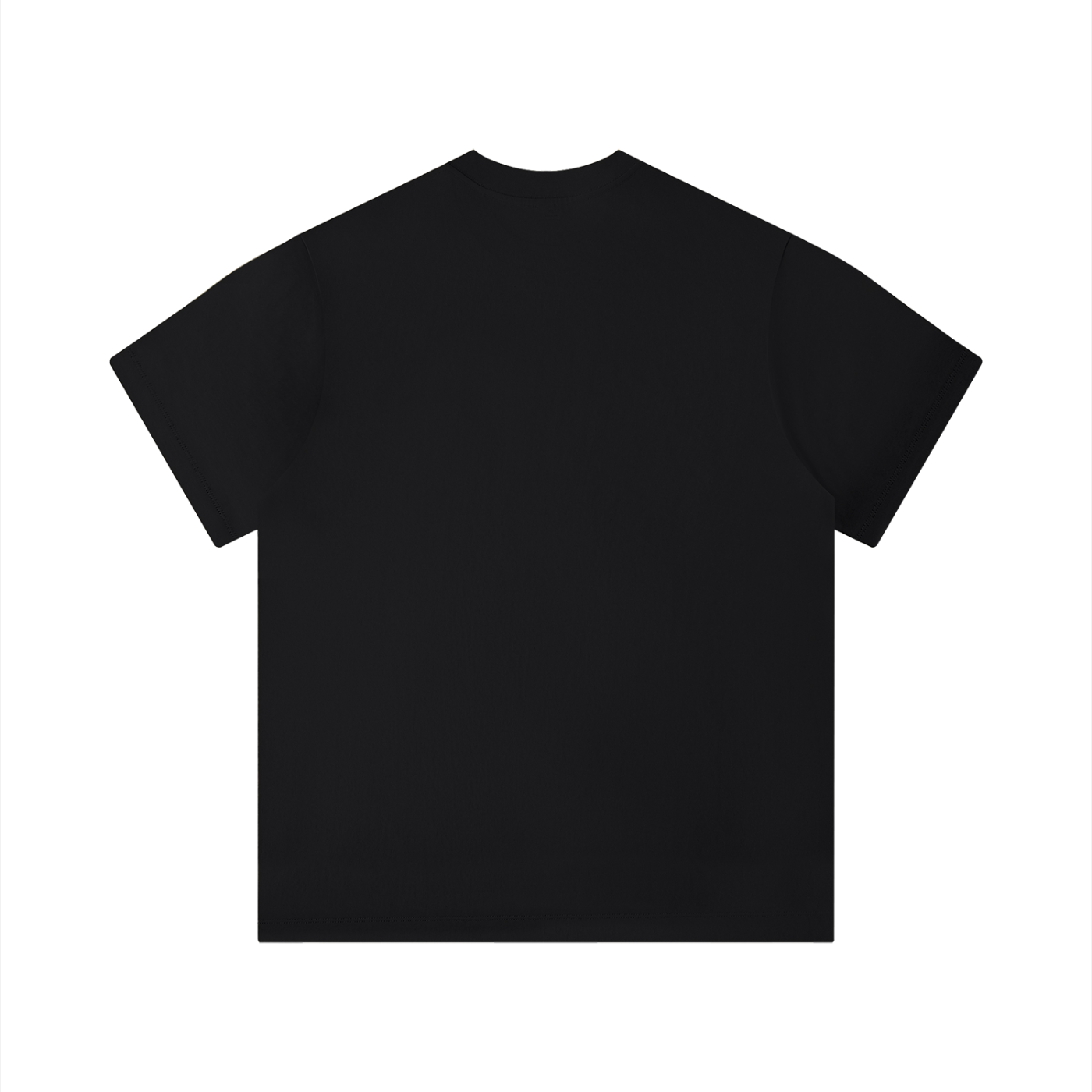 Unisex Regular Fit T-Shirt